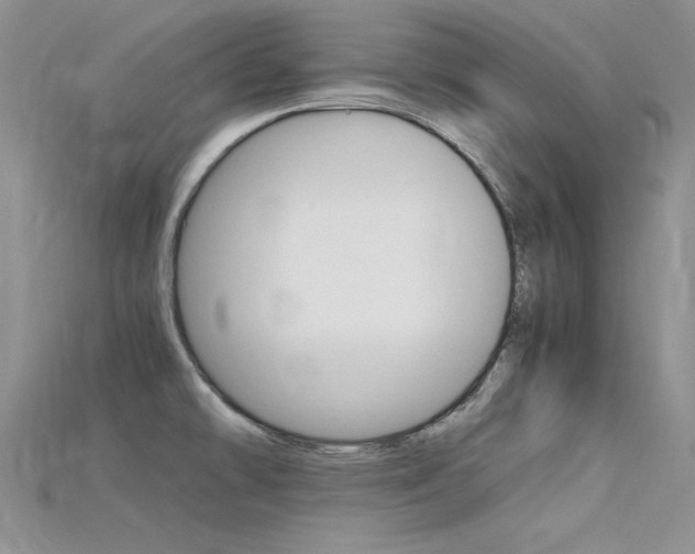 X0000115701478200911121354