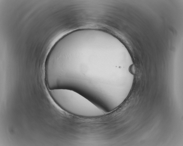 X0000115701479200911121354