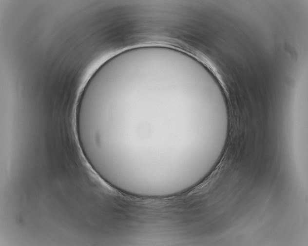 X0000115701480200911121354