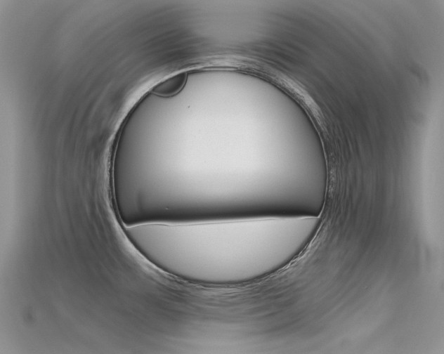X0000115701483200911121354