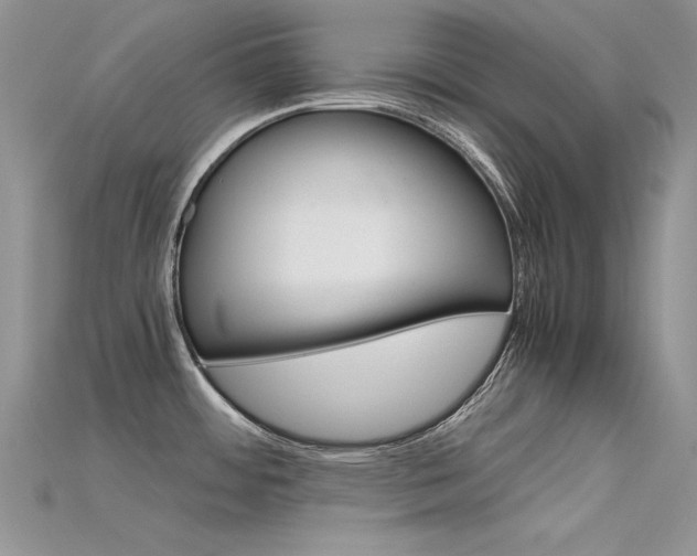 X0000115701484200911121354