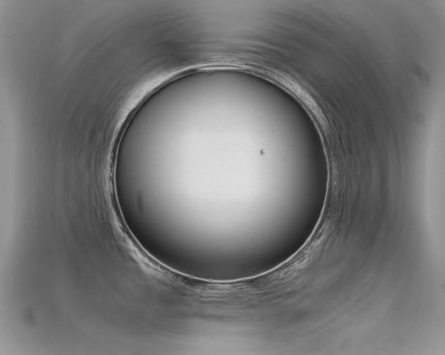X0000115701485200911121354