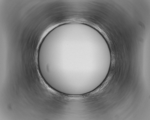 X0000115701486200911121354