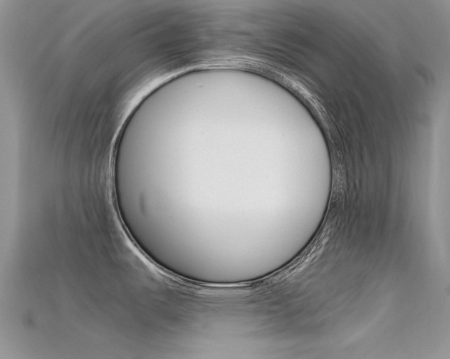 X0000115701487200911121354