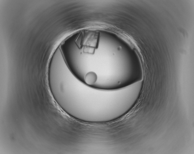 X0000115701488200911121354