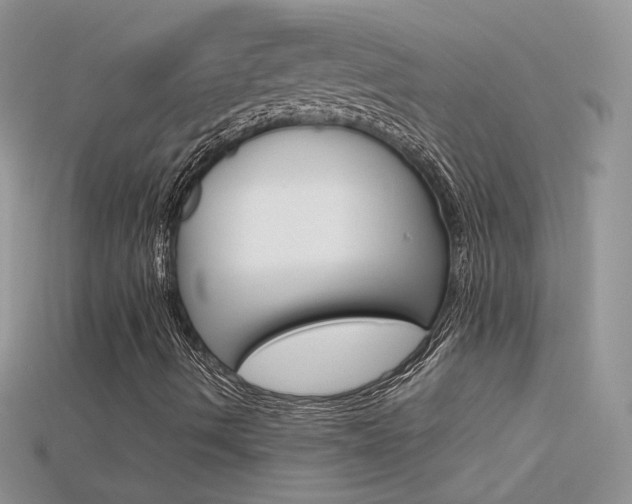X0000115701490200911121353