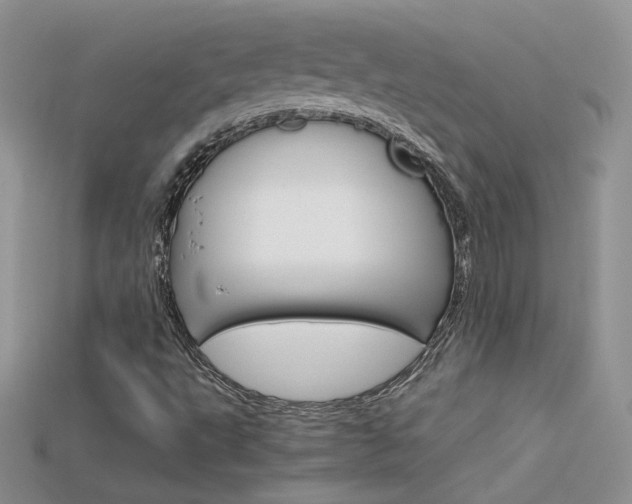 X0000115701495200911121353