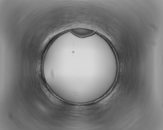 X0000115701499200911121353