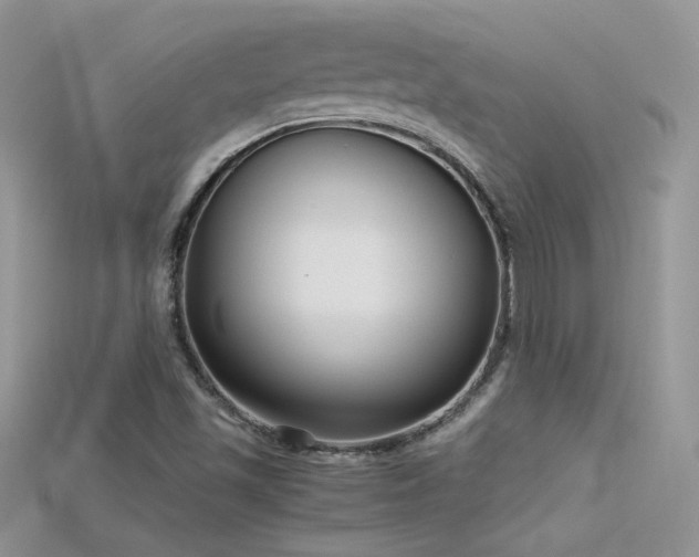 X0000115701501200911121353