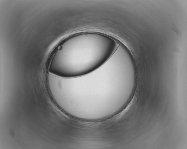 X0000115701502200911121353