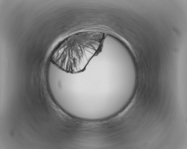 X0000115701506200911121353