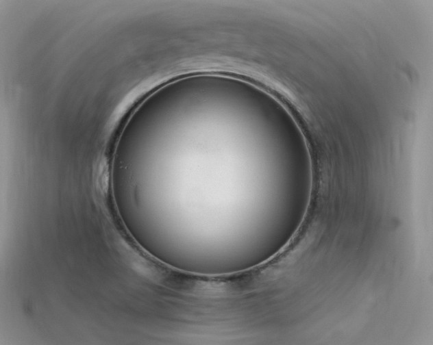 X0000115701509200911121353
