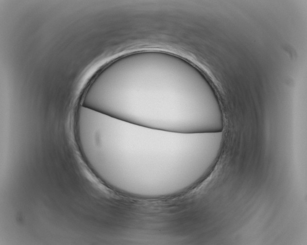 X0000115701511200911121353