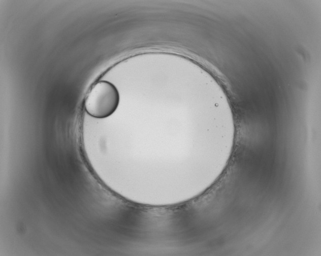 X0000115701514200911121353