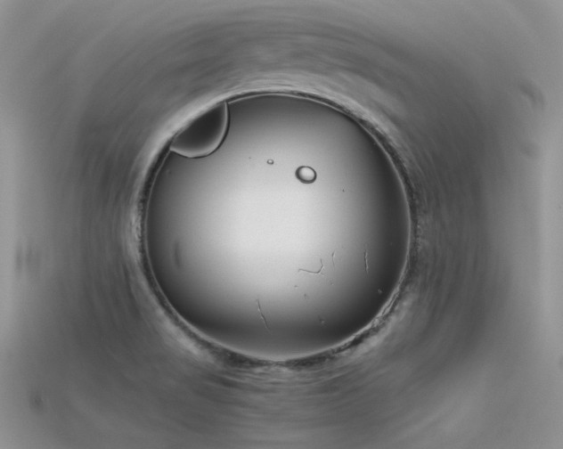X0000115701517200911121353
