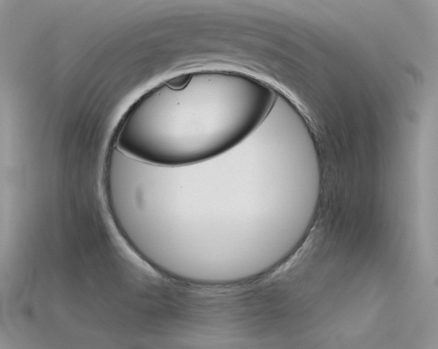 X0000115701518200911121354
