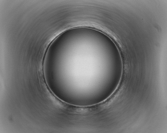 X0000115701521200911121354