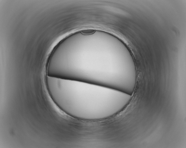 X0000115701523200911121354