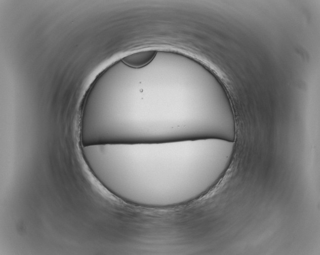 X0000115701526200911121354