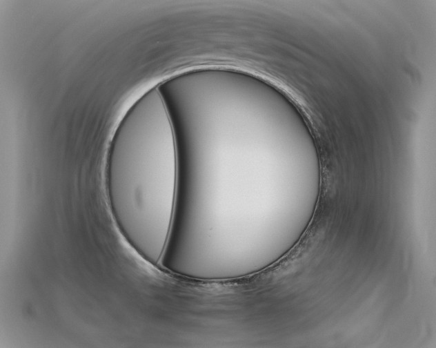 X0000115701527200911121354