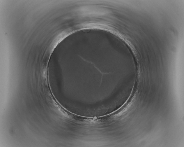 X0000115701529200911121354