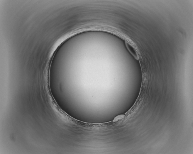X0000115701530200911121354
