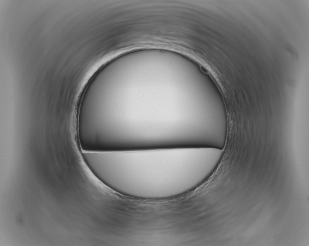 X0000115701531200911121354