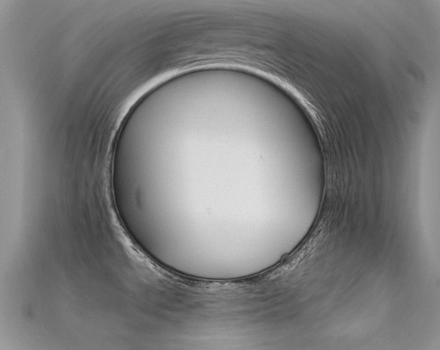 X0000115701534200911121354