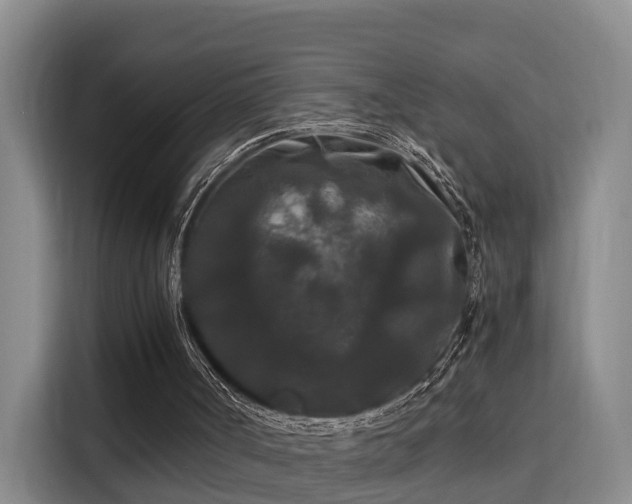 X0000115700002200911191239