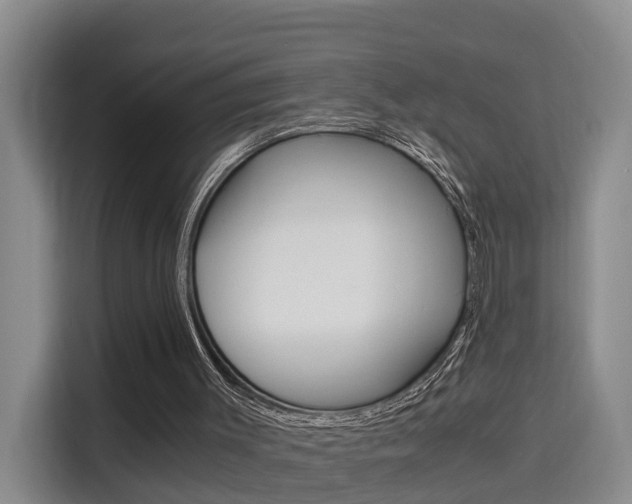 X0000115700003200911191239