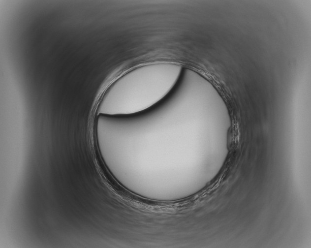 X0000115700004200911191239