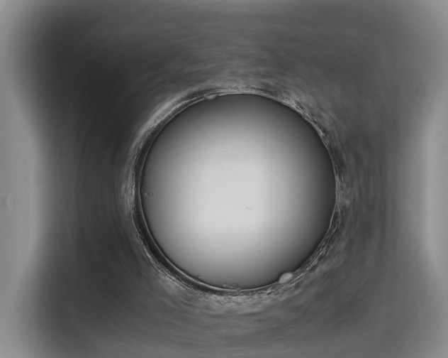 X0000115700005200911191239