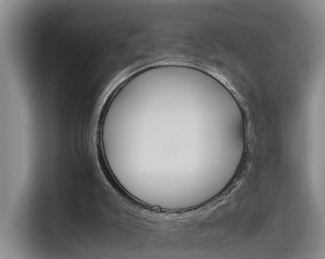 X0000115700007200911191238