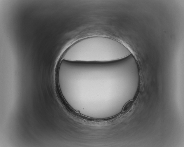 X0000115700008200911191238