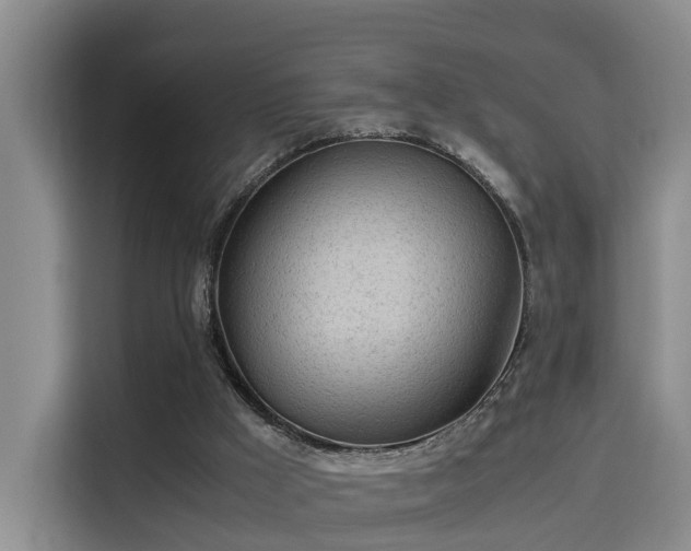 X0000115700009200911191238