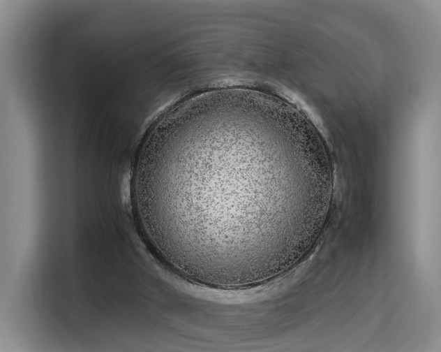 X0000115700010200911191238