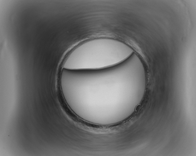 X0000115700012200911191238