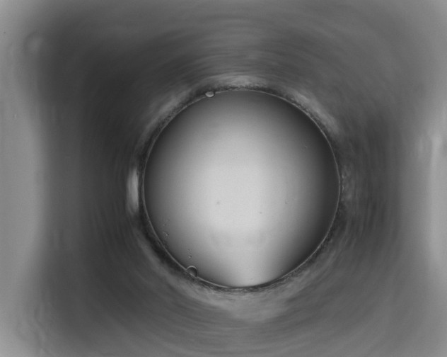 X0000115700014200911191238