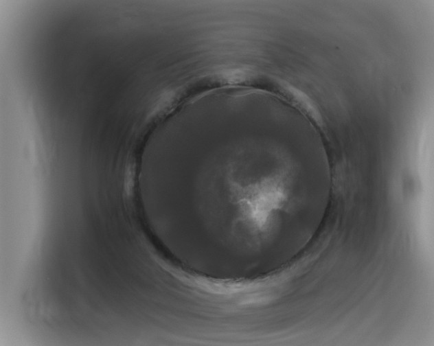 X0000115700018200911191238