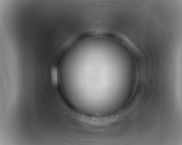 X0000115700022200911191238