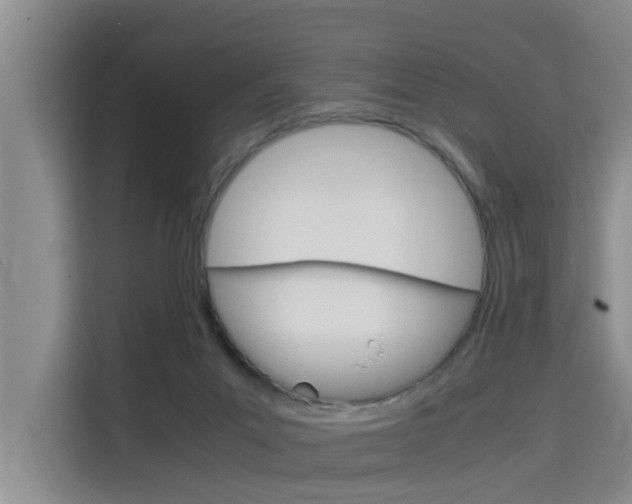 X0000115700023200911191238