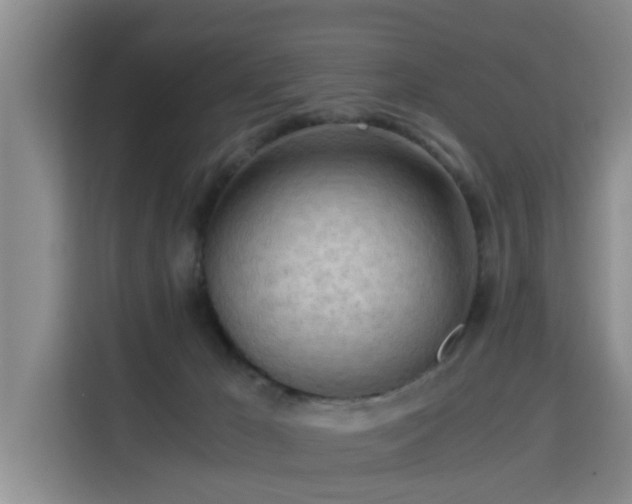 X0000115700029200911191238