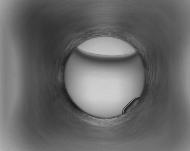 X0000115700035200911191238