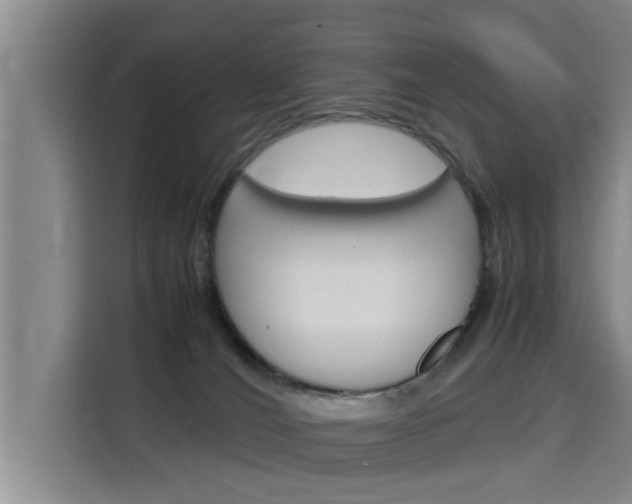 X0000115700036200911191238