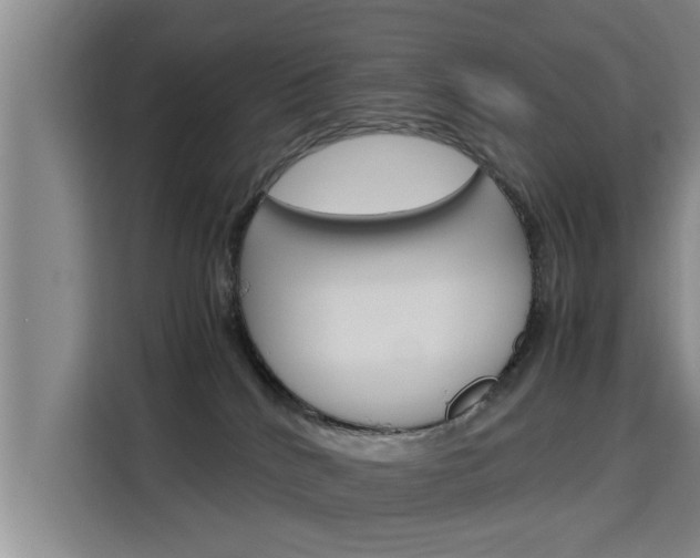 X0000115700040200911191238