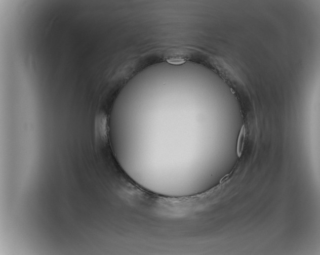 X0000115700041200911191238