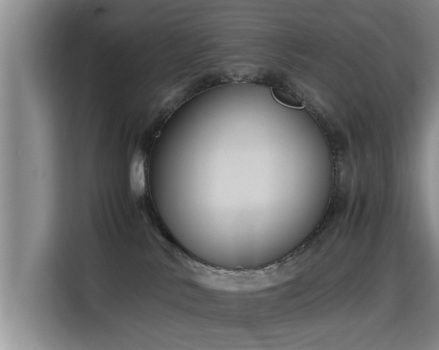 X0000115700042200911191238