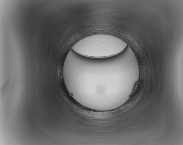 X0000115700044200911191238