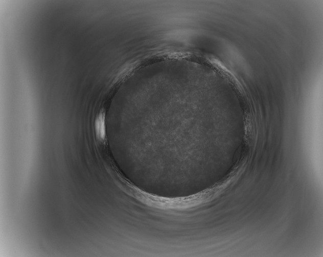 X0000115700046200911191238