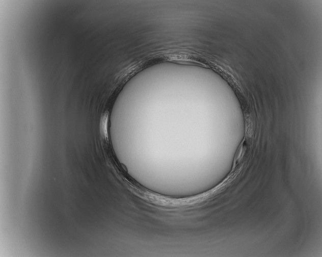 X0000115700047200911191238